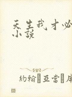 天生我才必有用小说