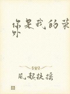 你是我的荣耀番外