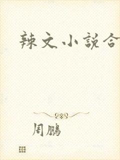 辣文小说合集封面