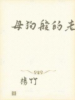 母狗般的老师封面