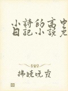 小诗的高中成长日记小说免费阅读