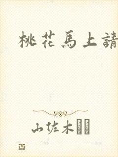 桃花马上请长缨封面