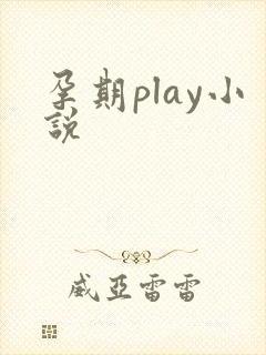 孕期play小说