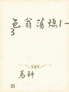 色翁荡熄1—13封面
