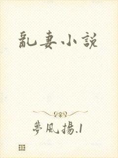 乱妻小说