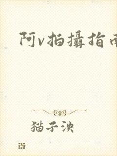 阿v拍摄指南封面