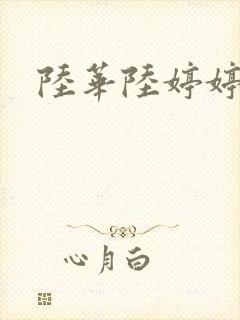 陆华陆婷婷