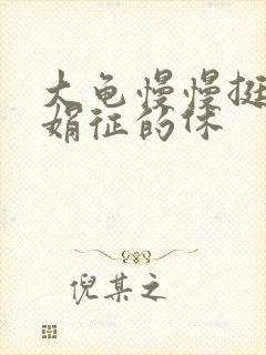 大龟慢慢挺进张娟征的休封面