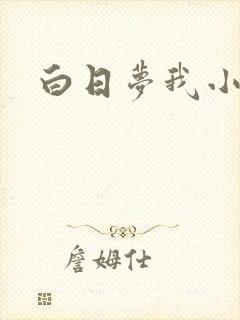 白日梦我小说