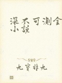 深不可测金银花小说