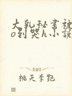 大乳秘书被cao到哭h小说