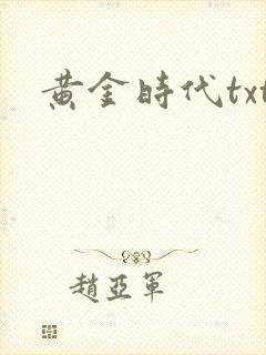 黄金时代txt封面