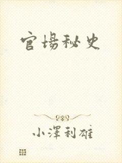 官场秘史封面