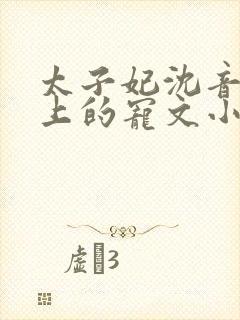 太子妃沈音和皇上的宠文小说封面