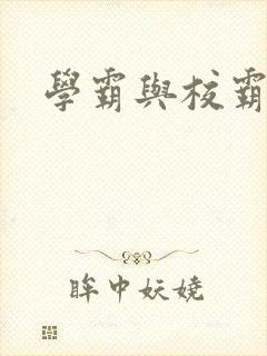 学霸与校霸封面