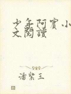 少年阿宾小说全文阅读