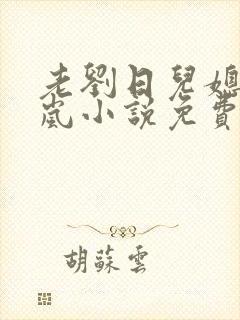 老刘日儿媳妇张岚小说免费阅读封面