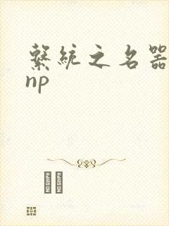 系统之名器攻略np