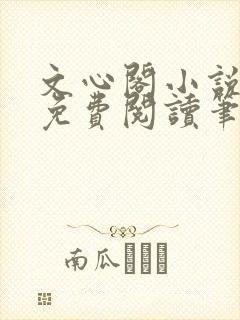 文心阁小说全文免费阅读笔趣阁
