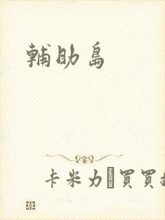辅助岛