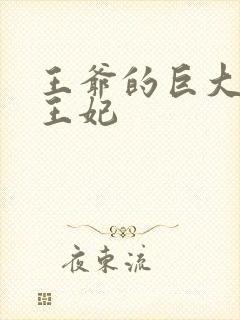 王爷的巨大进入王妃封面