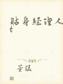 贴身经理人txt