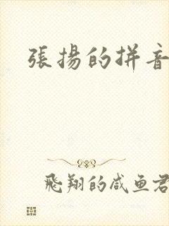 张扬的拼音
