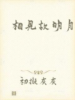 相见故明月
