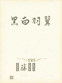 黑白羽翼封面