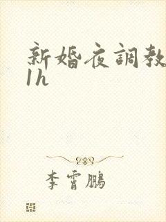 新婚夜调教1v1h