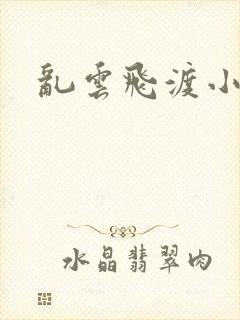 乱云飞渡小说