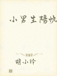 小男生阳帆