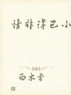 情非得已小说封面
