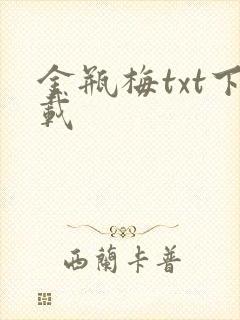 金瓶梅txt下载