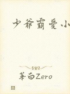 少爷霸爱小丫头