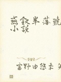 燕钗半落琥珀糖小说