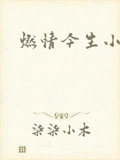 燃情今生小说