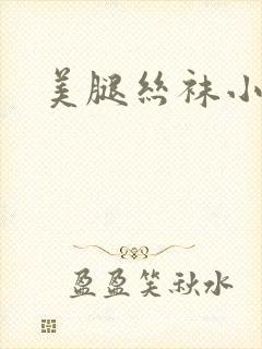 美腿丝袜小说封面