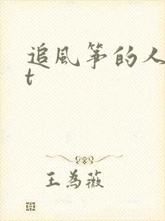追风筝的人txt封面