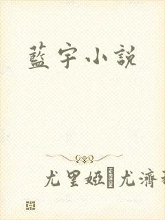 蓝宇小说