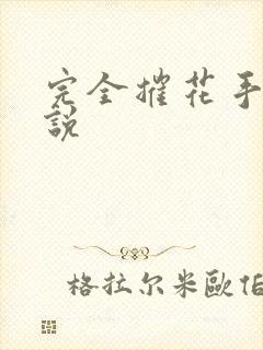 完全摧花手册小说封面