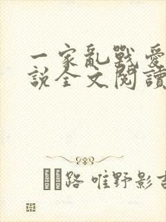 一家乱战爱莲小说全文阅读封面