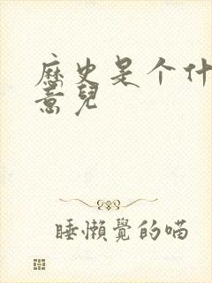 历史是个什么玩意儿封面