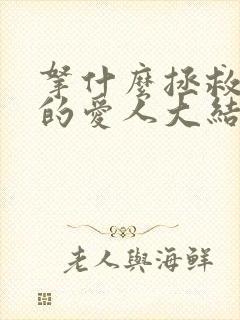 拿什么拯救你我的爱人大结局封面