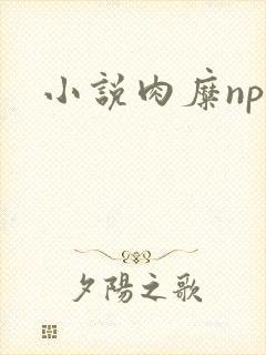 小说肉糜np