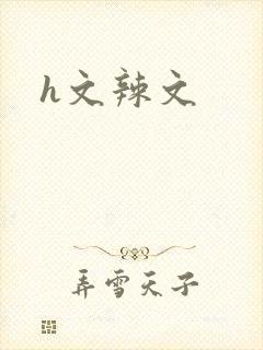 h文辣文封面