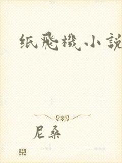 纸飞机小说封面