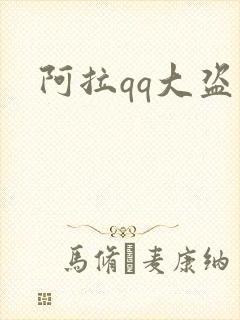 阿拉qq大盗