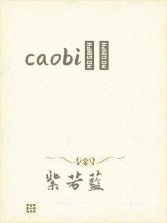 caobiС˵
