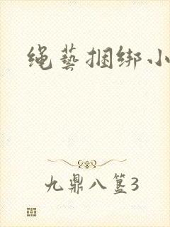 绳艺捆绑小说